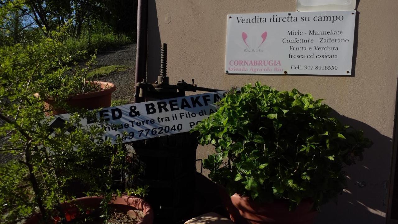 Bed and Breakfast Cinque Terre Tra Il Filo Di Arianna à Riccò del Golfo di Spezia Extérieur photo